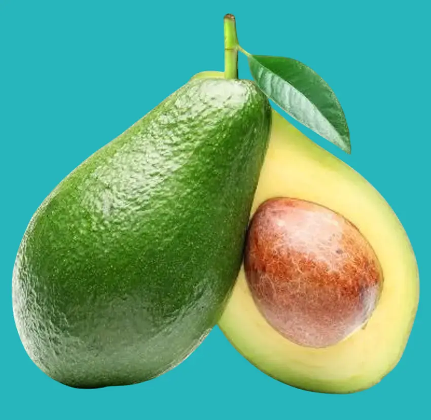 Avocado while studying