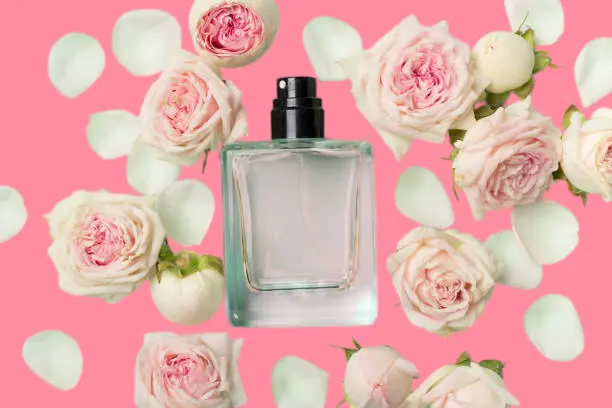 Rose and blossom water for a beautiful body fragrance