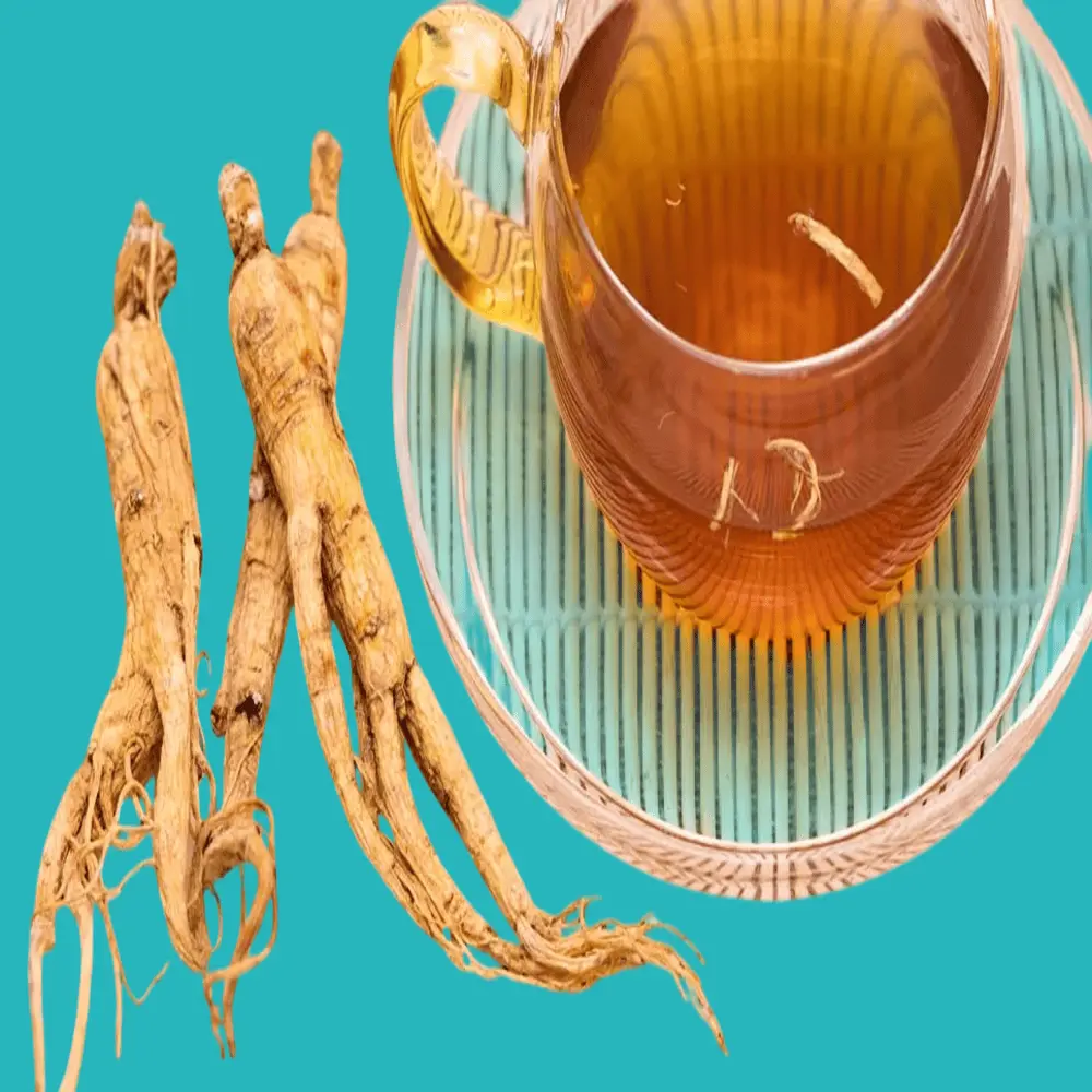 benefits of ginseng as a general tonic and memory stimulant 