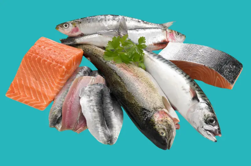 Fatty fish while studying