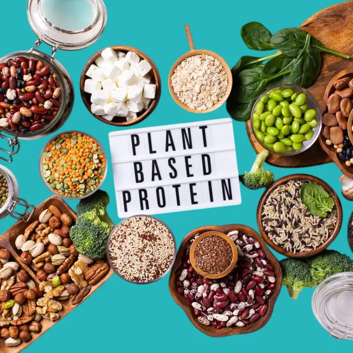 افضل مصادر البروتين النباتي في الوجبات اليومية 