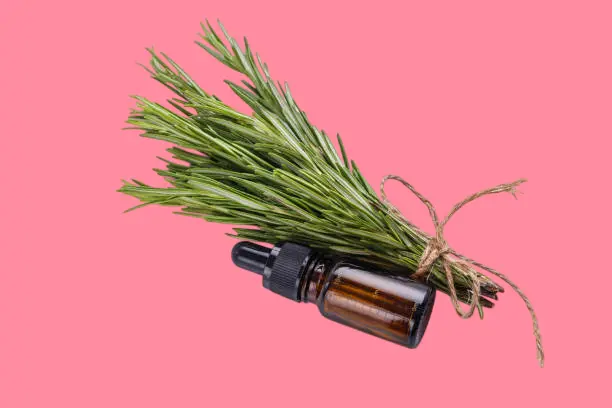 Rosemary oil for treating hair loss