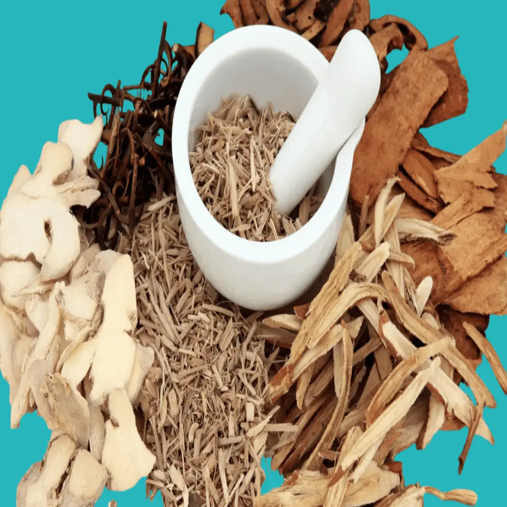 10 best herbs to help improve digestion 